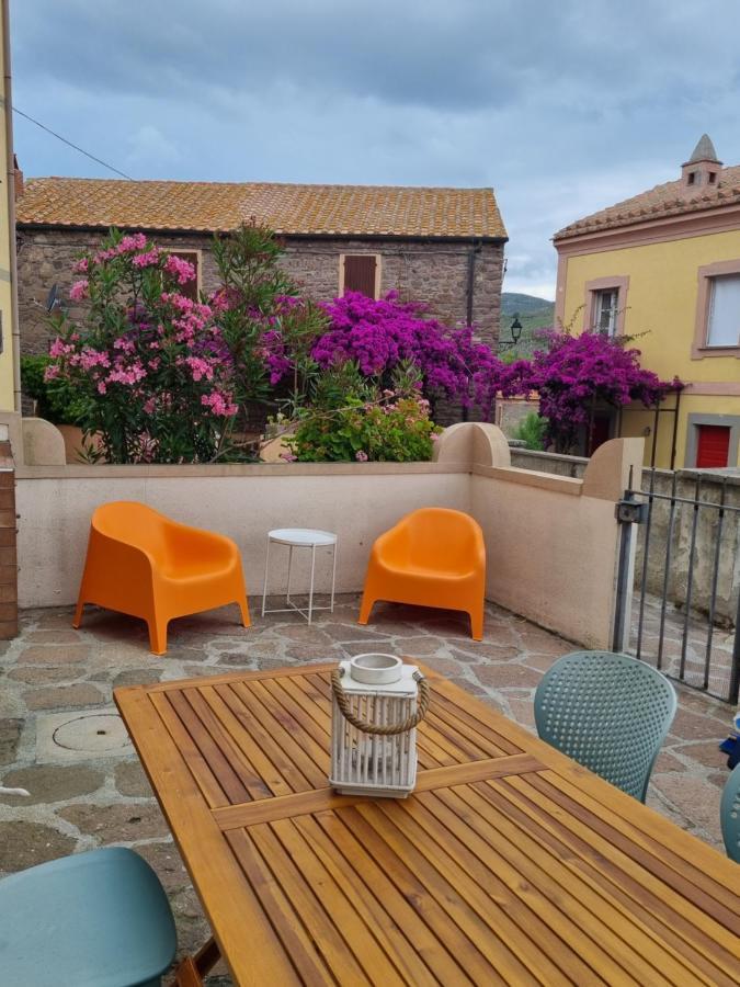 Le Petit Refuge Apartment Capraia